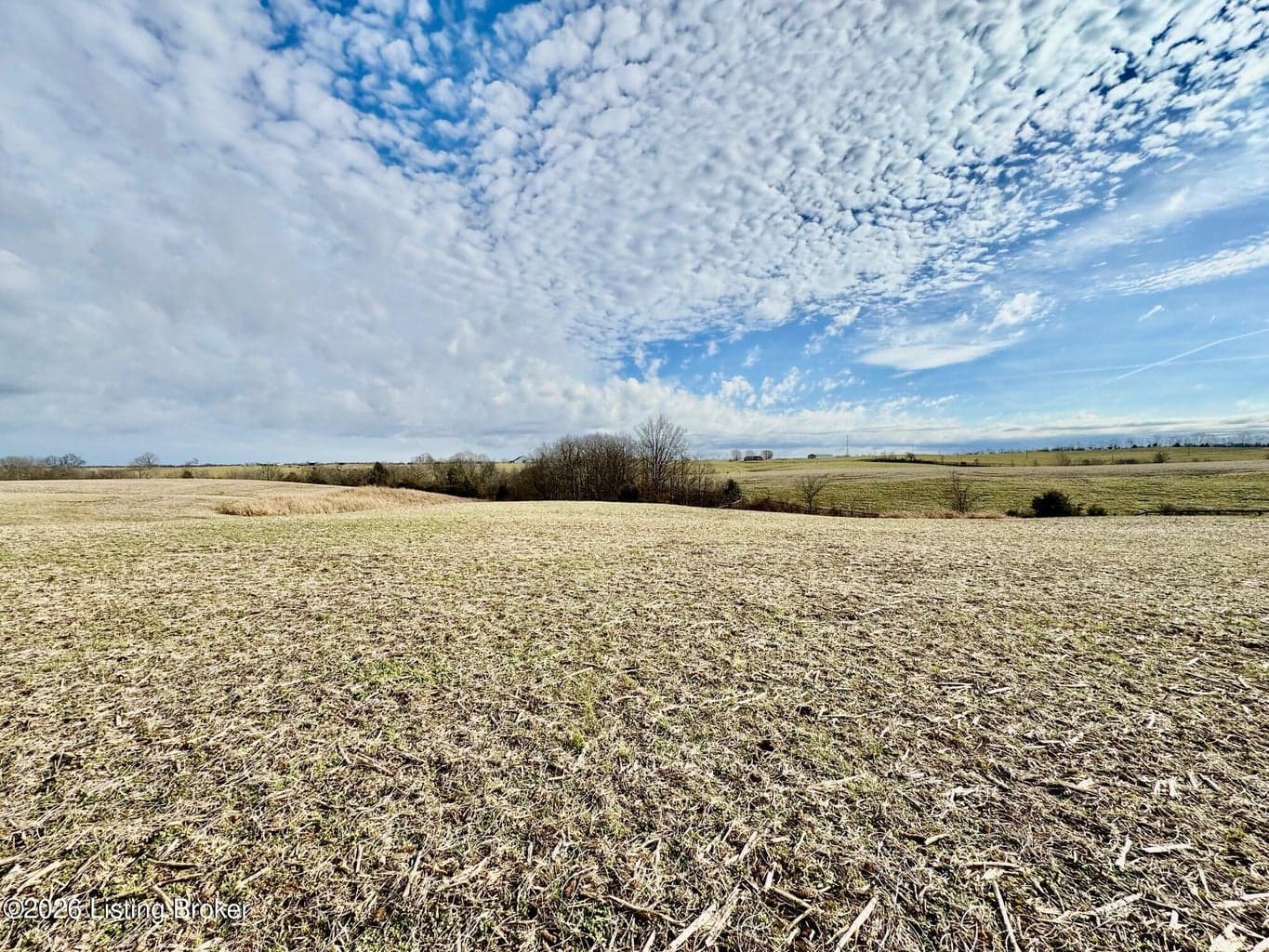 1656-3 Old Perryville Loop, Springfield - photo 1 of 6