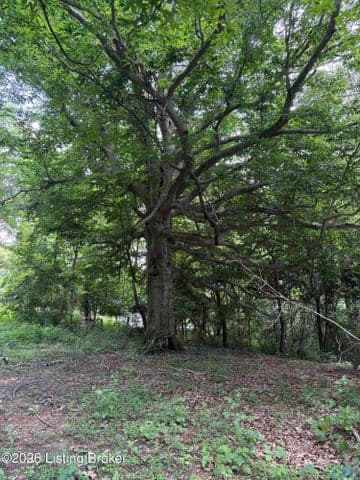 6401 New Cut Rd, Crestwood - photo 4 of 4