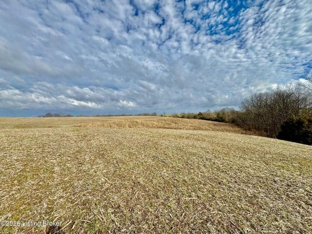 1656-3 Old Perryville Loop, Springfield - photo 3 of 6